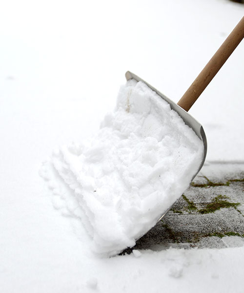 Intretinere exterioara -small 1