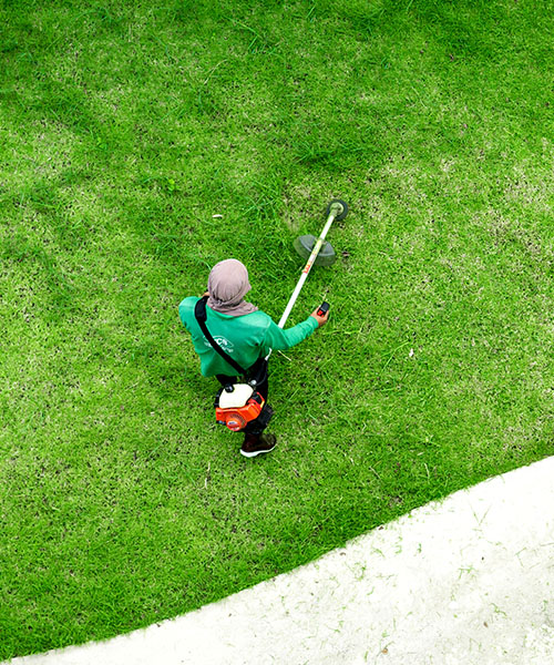 Intretinere exterioara -small 3