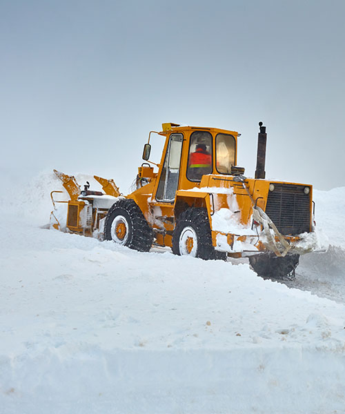 Intretinere exterioara -small 6