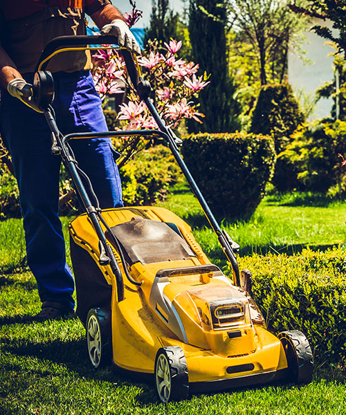 amenajari spatii verzi 2