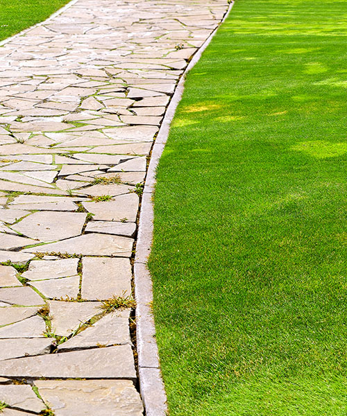 amenajari spatii verzi 3