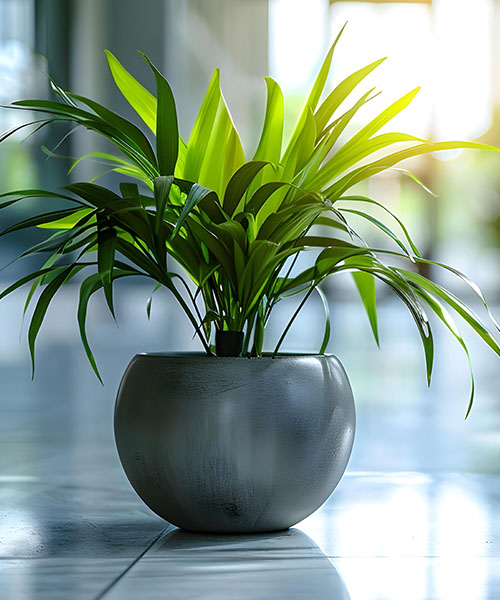 amenajari spatii verzi 5