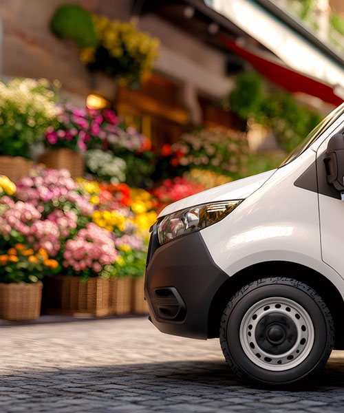 amenajari spatii verzi 6