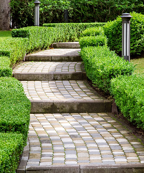Green spaces with stairs