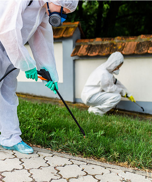 pest control green spaces