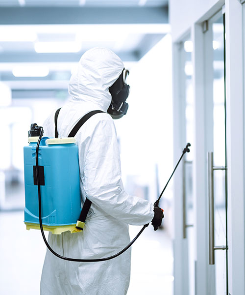 pest control indoors