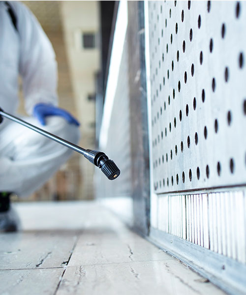 Desifection hidden corners