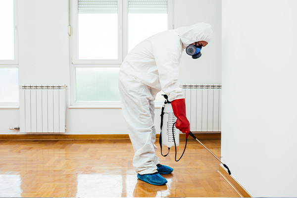 Desinfection office space