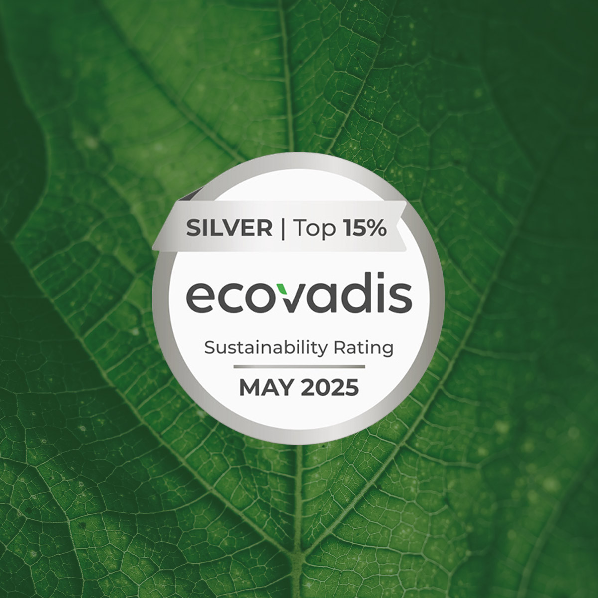 Ecovadis-2025