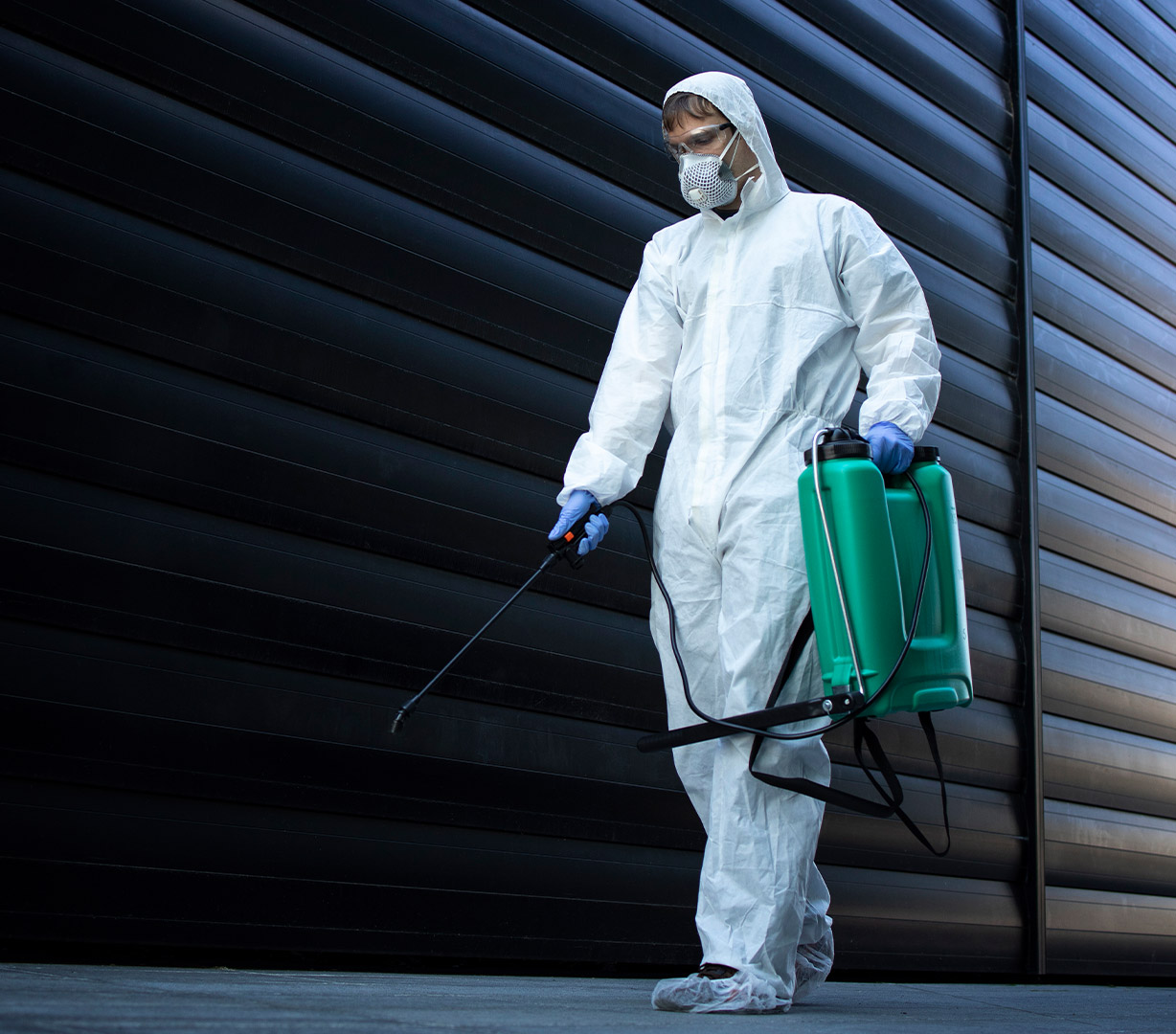 Desinsection in progress