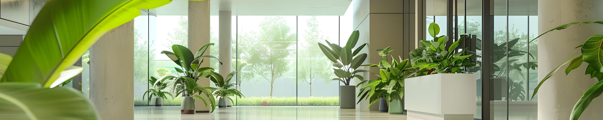 Office with Plants